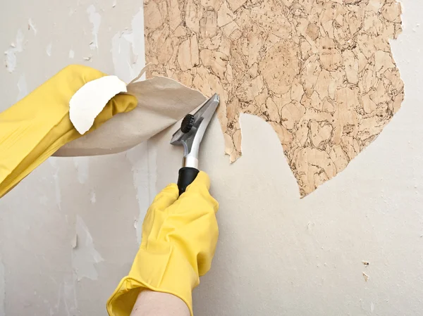 Wallpaper Removal