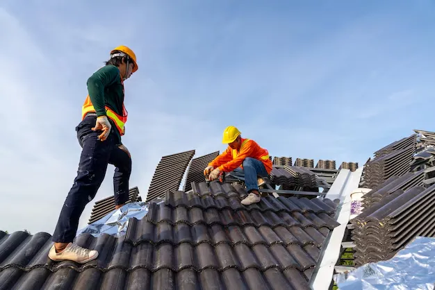Roofing & Repair